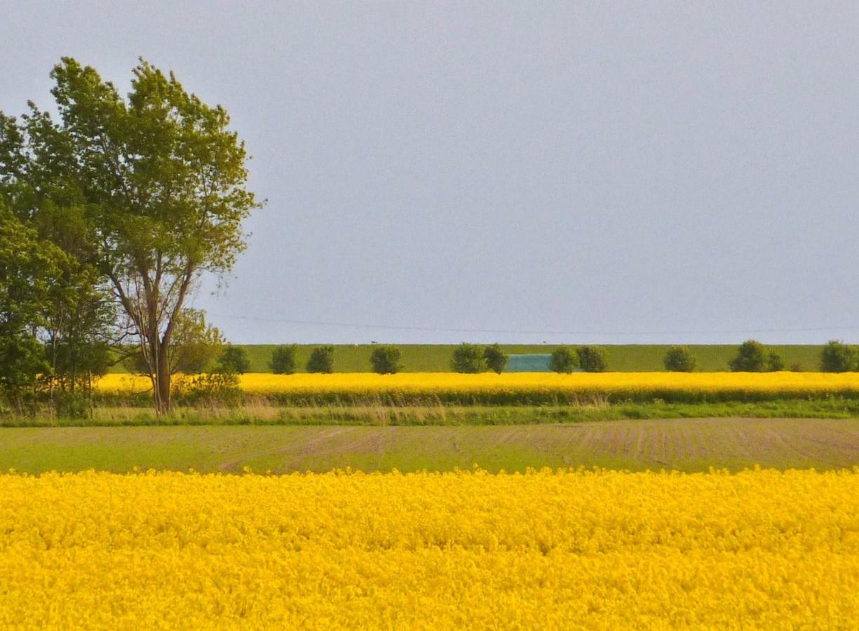 Wattenblick Büsum Esterno foto